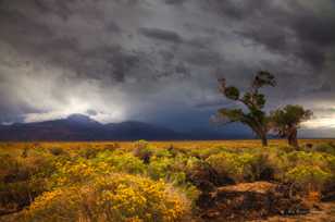 Storm over the White Mountains 2-8677 Storm over the White Mountains 2-8677